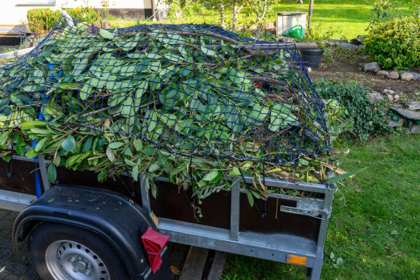 Best Yard Waste Removal  in Colma, CA